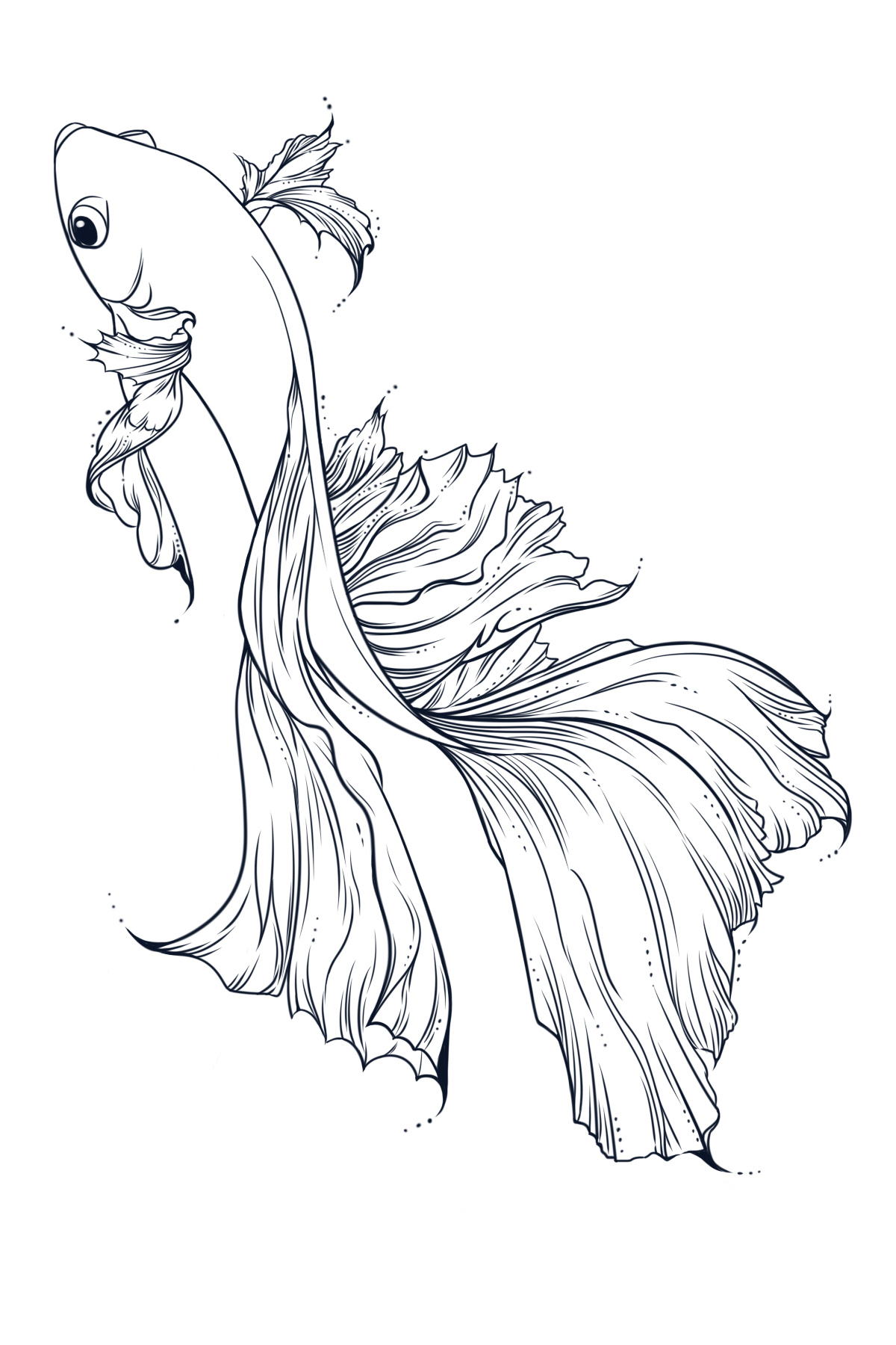 每日插画练习-鱼