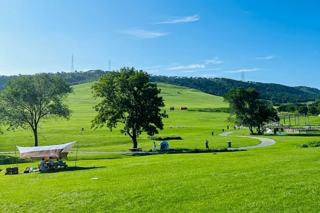 辽宁藏着一个"小新西兰"?大连也有草原,美得犹如呼伦贝尔