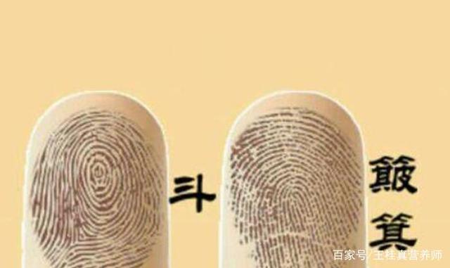 手指上的斗和簸箕,真的是健康的报警器?详解斗和簸箕的真正作用