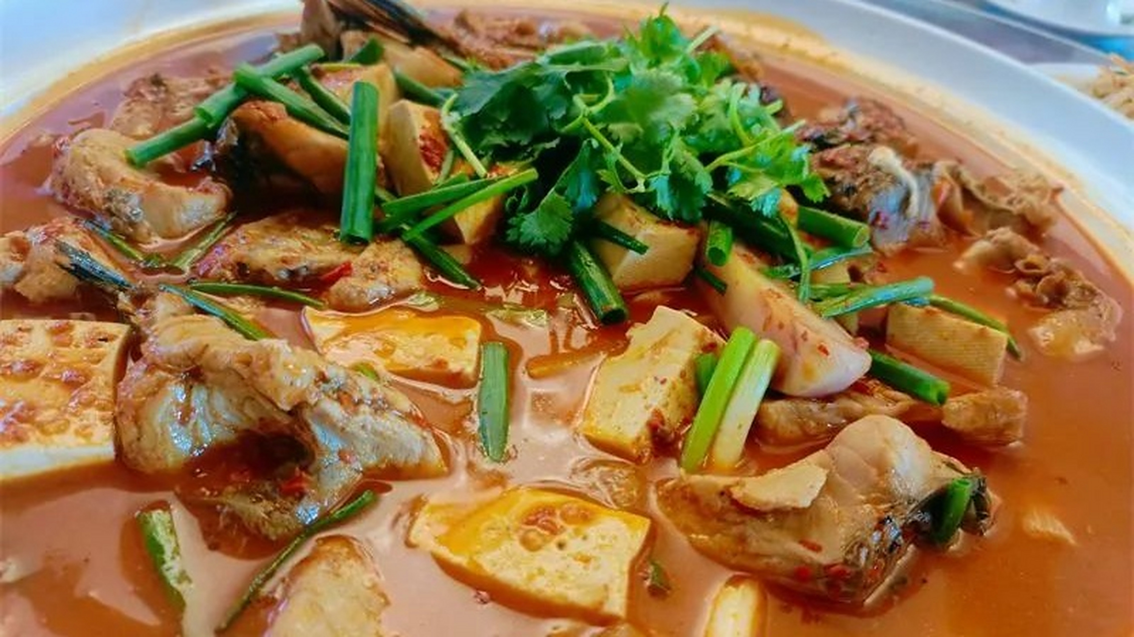 每次去好姐妹家蹭吃她们家的待客"王牌"——酸辣鱼.