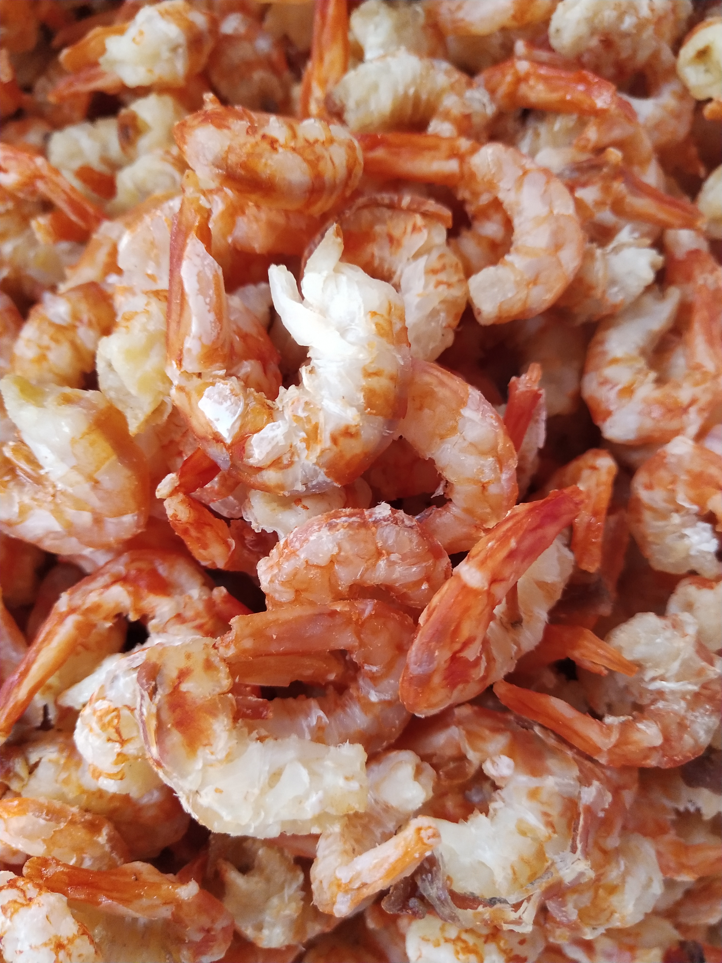 青岛干海鲜特产之崂山金钩海米