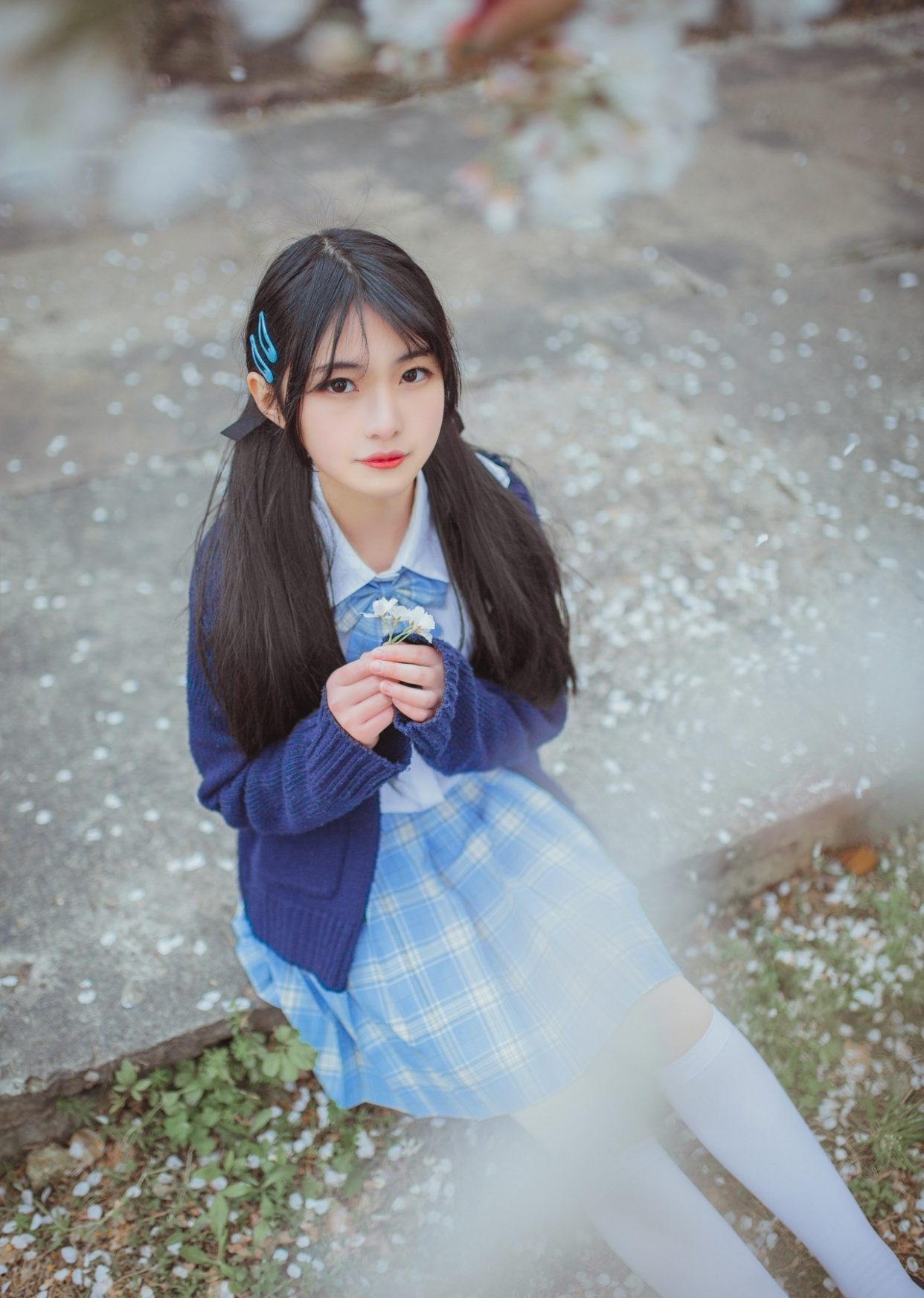 一头黑色长发绑成双马尾的jk少女,手捧着飘落的花瓣,像捧着思念