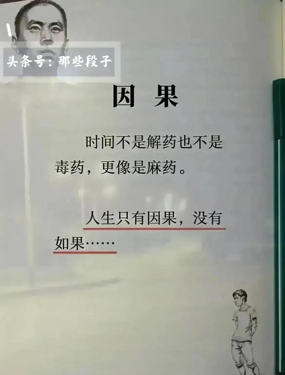 人生只有因果,而它没有如果