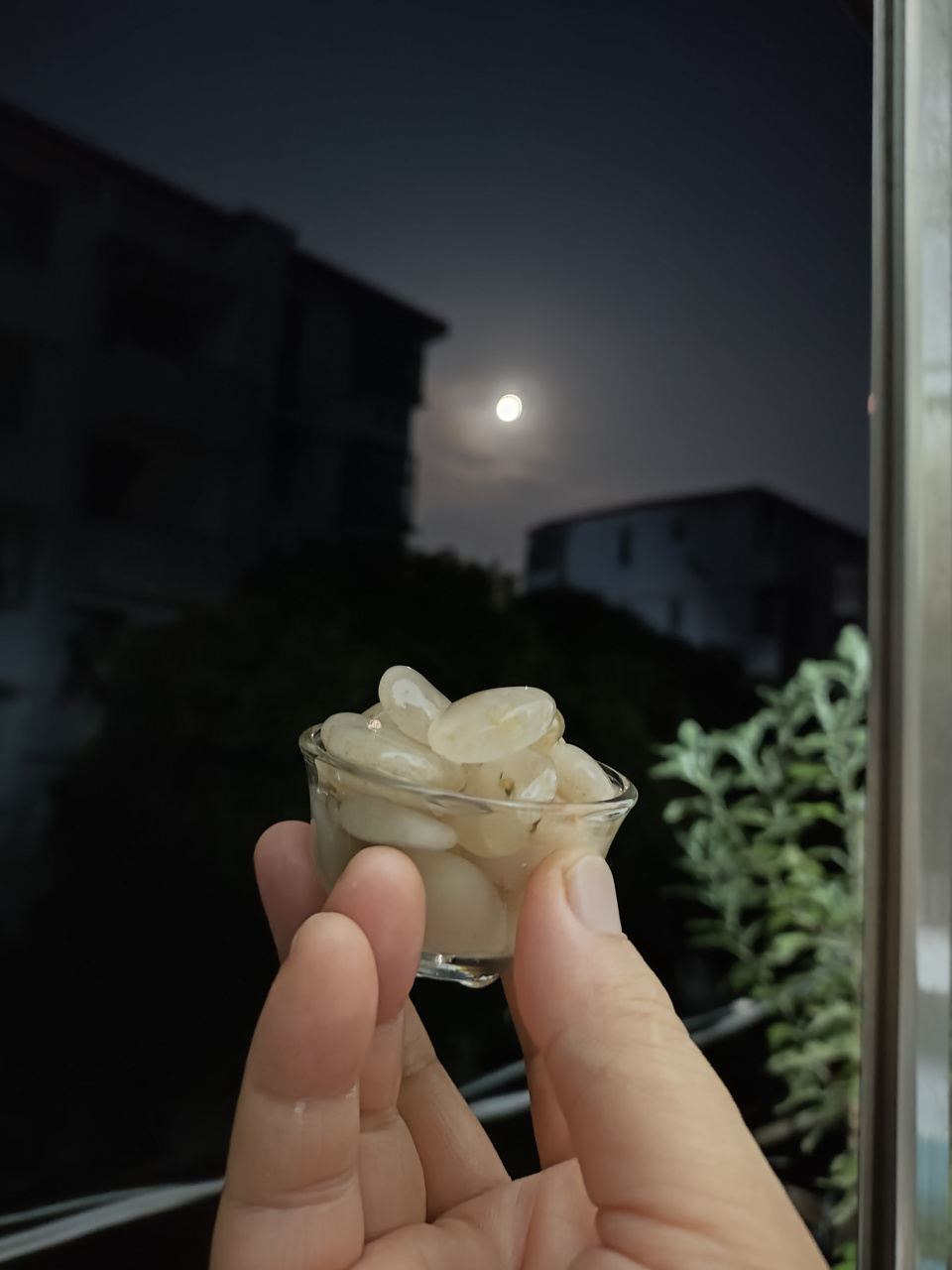 《蜘蛛网》 白日梦三清 蛛丝儿结满雕梁 绿纱今又糊在蓬窗上 说什么脂