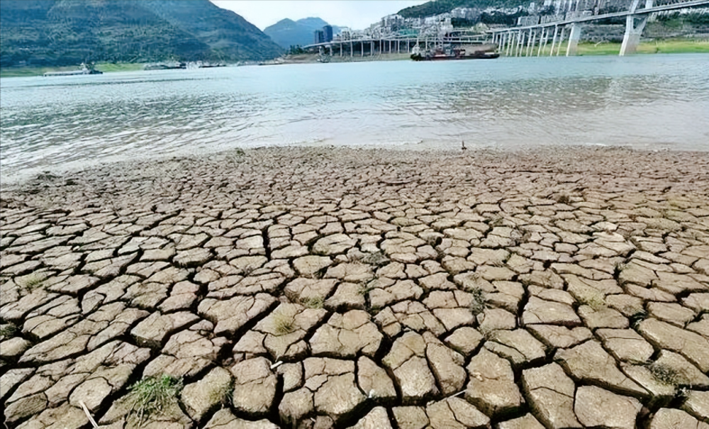 磐石永盛(北京)投资基金管理有限公司——美国今年小麦出口下降