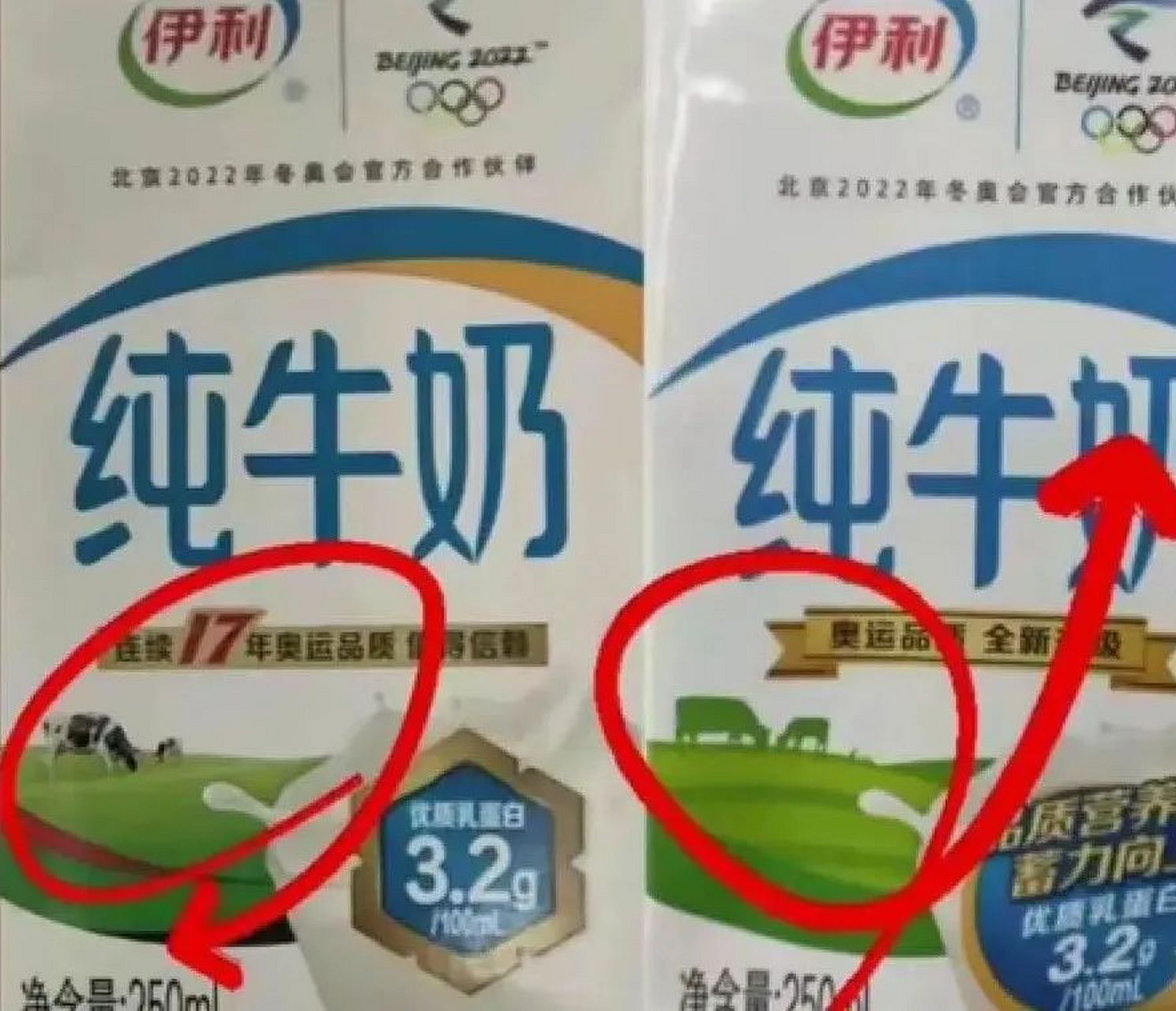 真假伊利纯牛奶对比图片