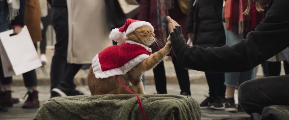 《再见街猫BOB》我这个人很简单，有猫能撸我就能活下去