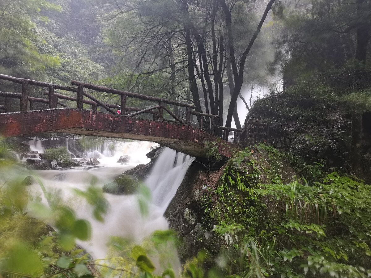 湖南避暑勝地——神農谷國家森林公園