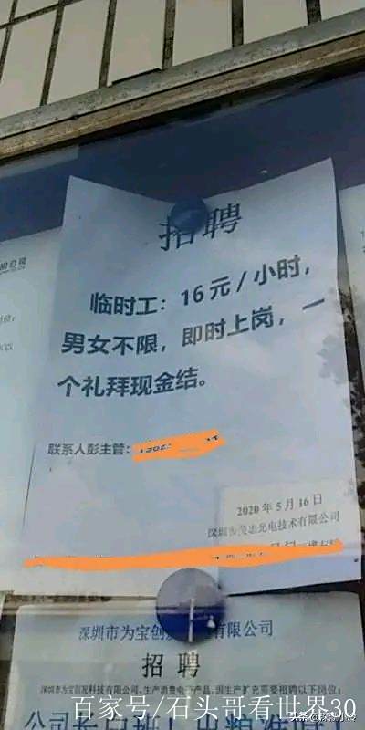 港湾街道临时工招聘网站_港湾街道临时工招聘网站官网