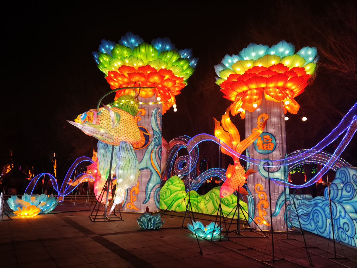 乌鲁木齐人气最旺公园,70组自贡花灯每晚吸引十万 市民前来打卡!