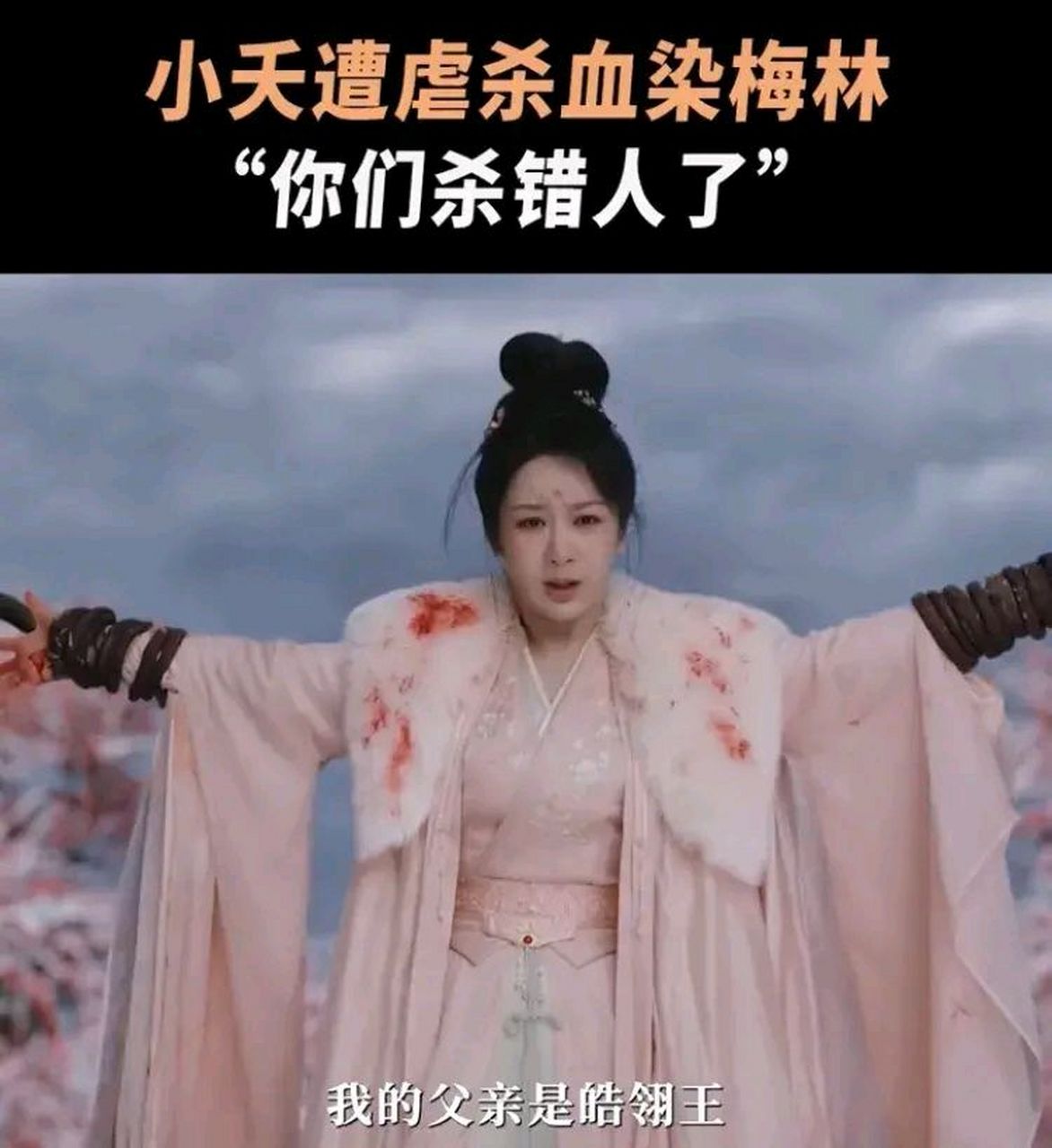 小夭梅林遭暗杀,血染梅林,痛彻心扉[流泪][流泪]