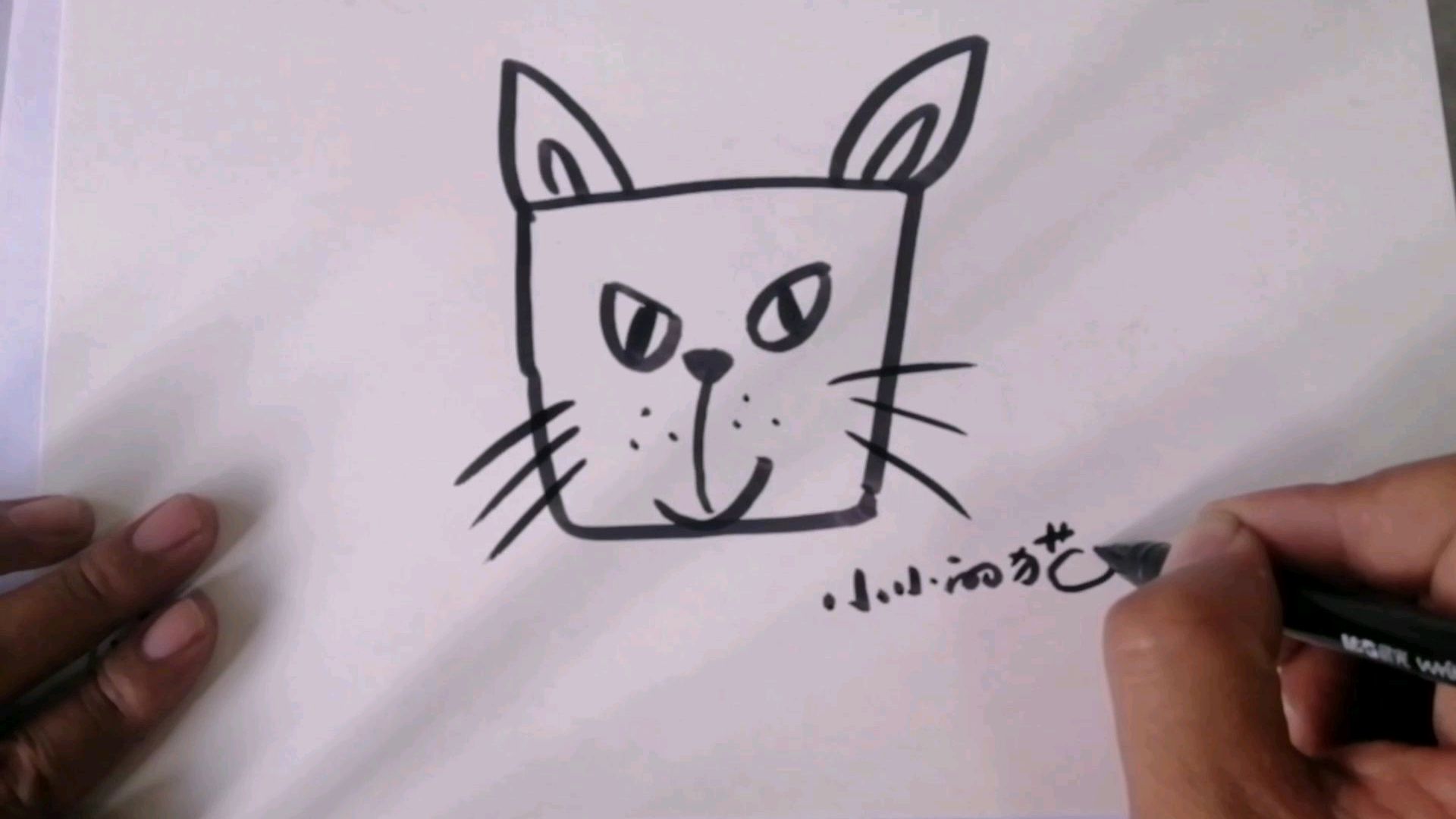 一学就会简笔画:方方圆圆画小猫小狗