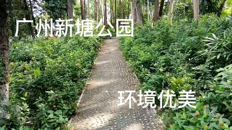 广州增城新塘公园,情侣约会的好地方