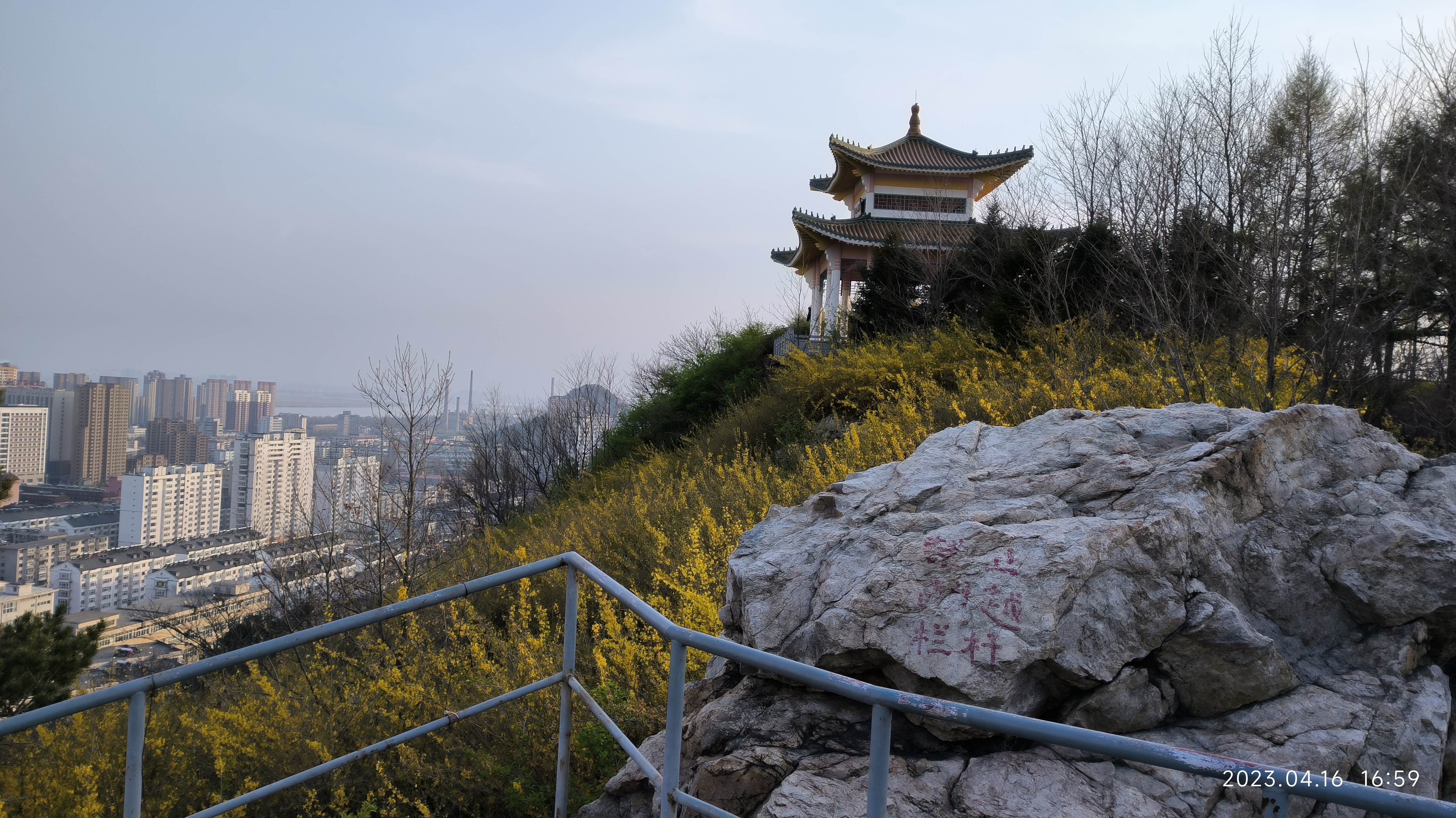 菊花山 baijiahao.baidu.com