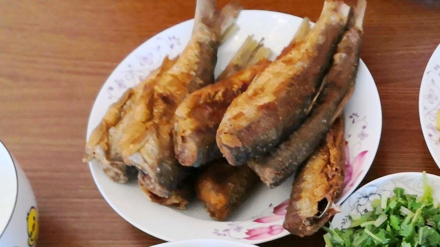 瓦氏雅罗鱼,你认识吗,看语哥怎么做,喝点小酒给你讲