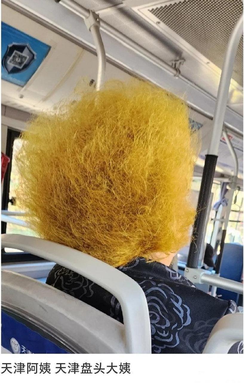 难道这就是传说中,至今没露过面的贝吉塔的母亲?