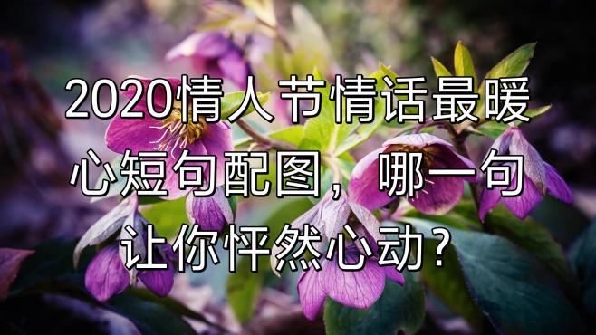 [图]2020情人节情话最暖心短句配图，哪一句让你怦然心动？