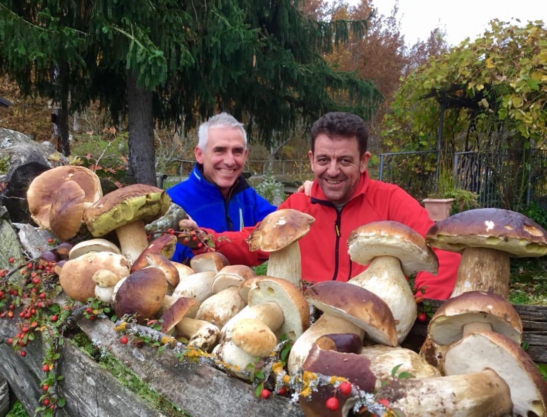 俄罗斯超级大蘑菇