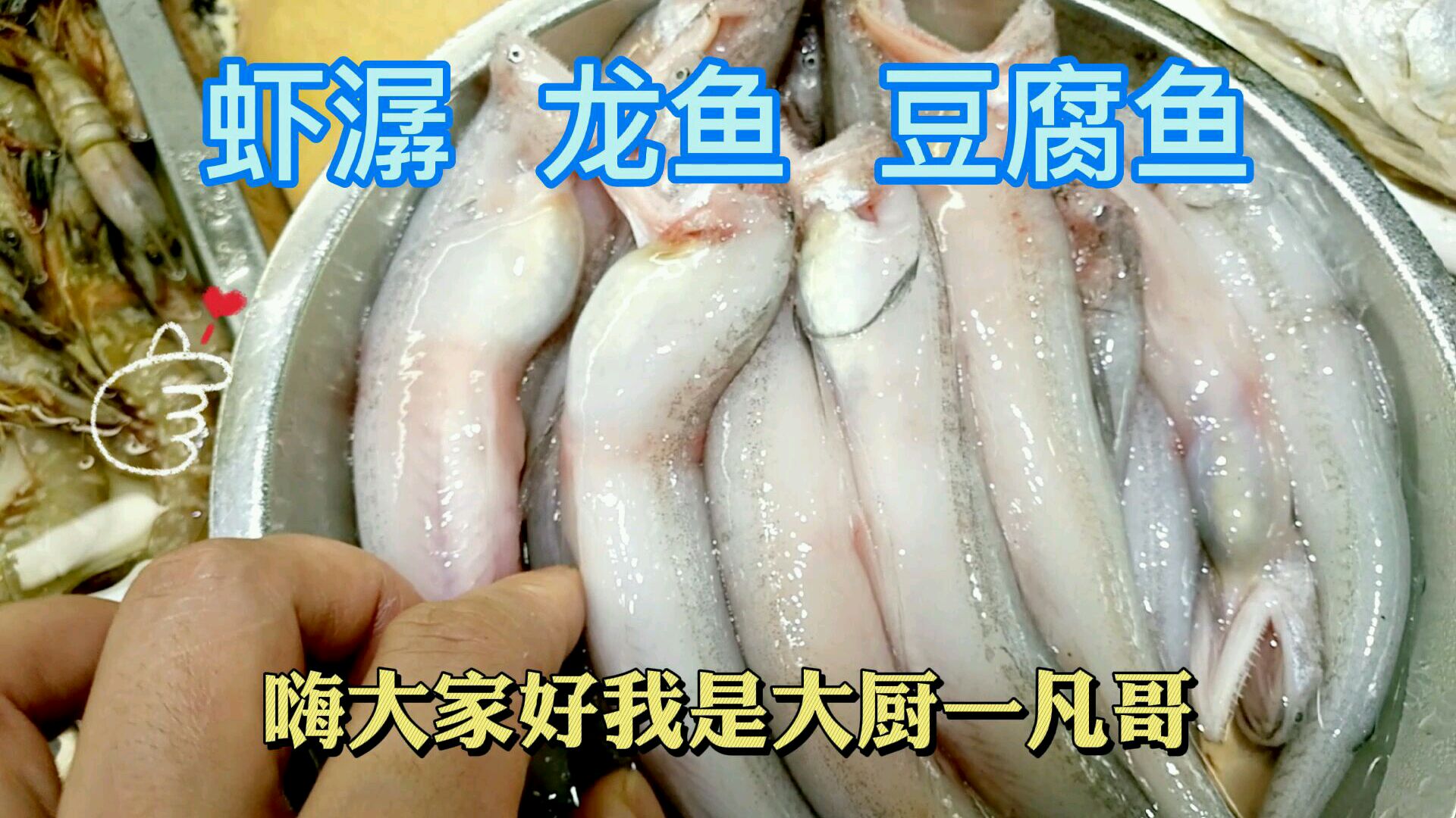 豆腐鱼和海鲫鱼,你们认识嘛?今天一起去了解