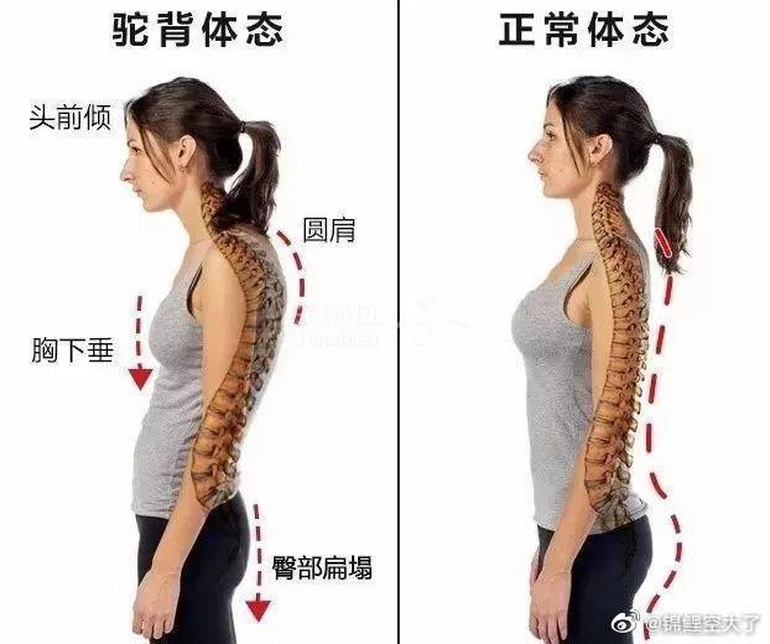 建议那些圆肩驼背仪态差的明星都来向刘诗诗和杨洋看齐!#明星