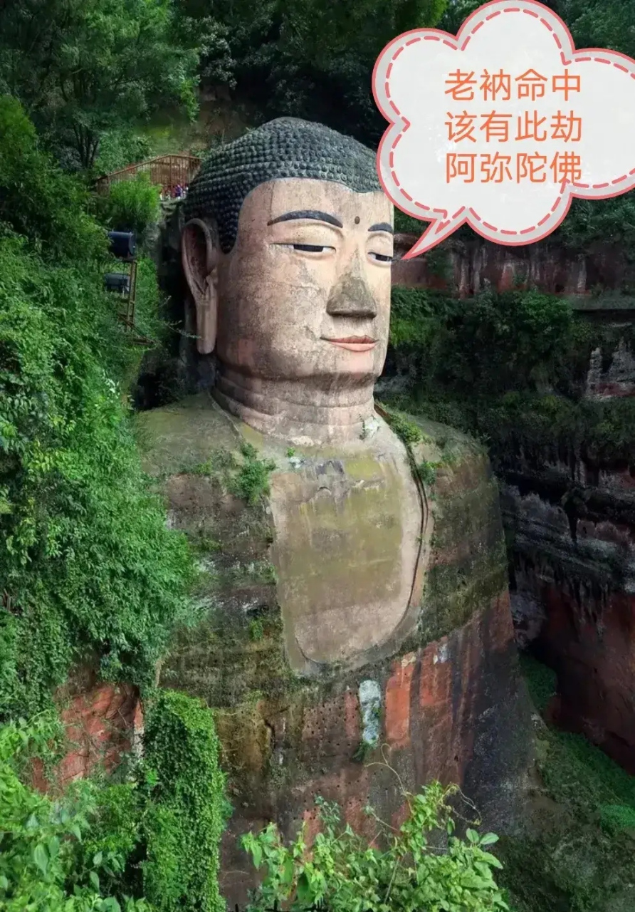 抖音有人说乐山把大佛卖了17个亿.