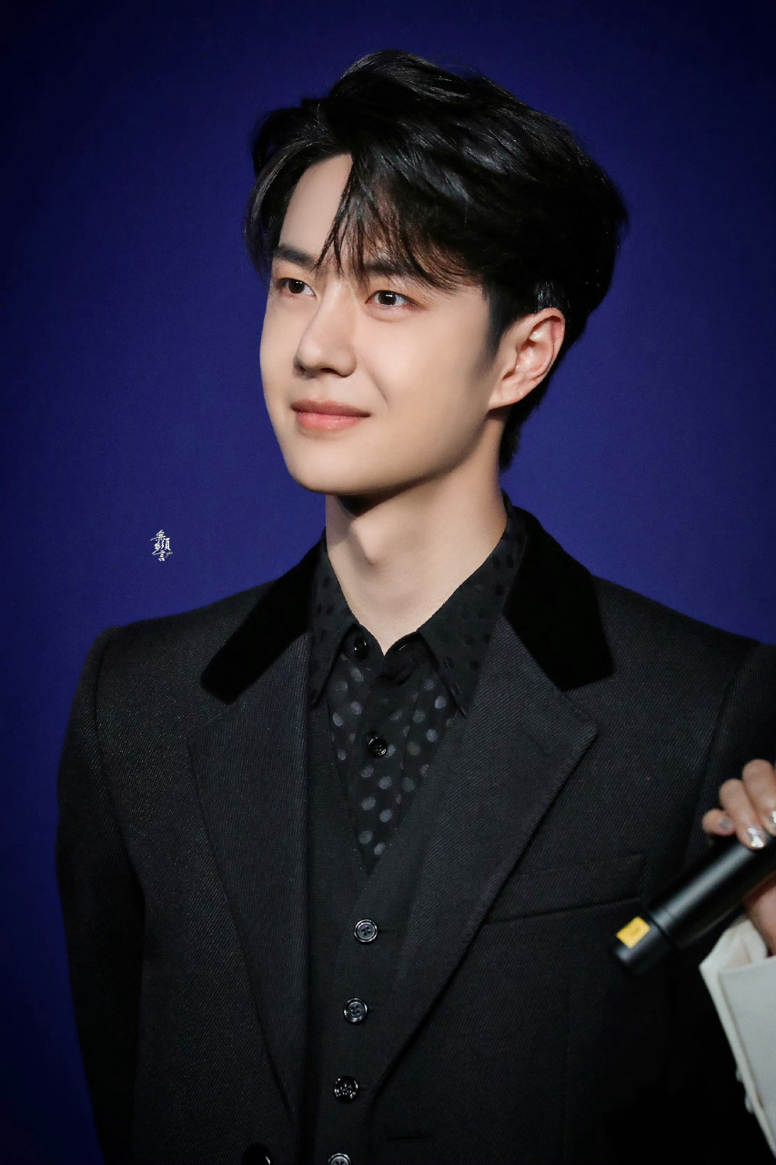 红毯博是闪闪发光的大明星赛车博是男性荷尔蒙爆棚好酷#王一博