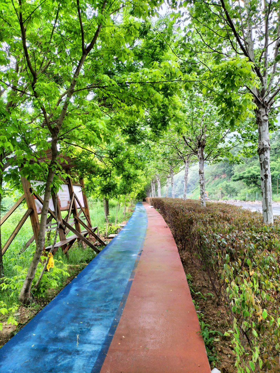 大连# 长青湖公园栈道维修进度 上个月去长青湖公园时,看木栈道全部