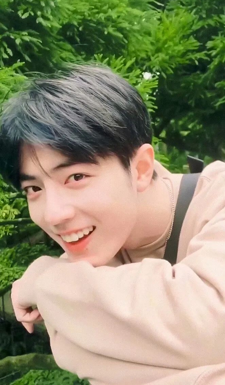 肖战高清壁纸头像(四)[色]