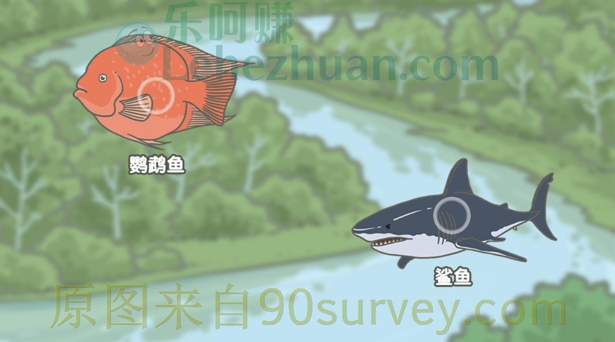 看到两条鱼仿佛在亲嘴的可能是鹦鹉鱼