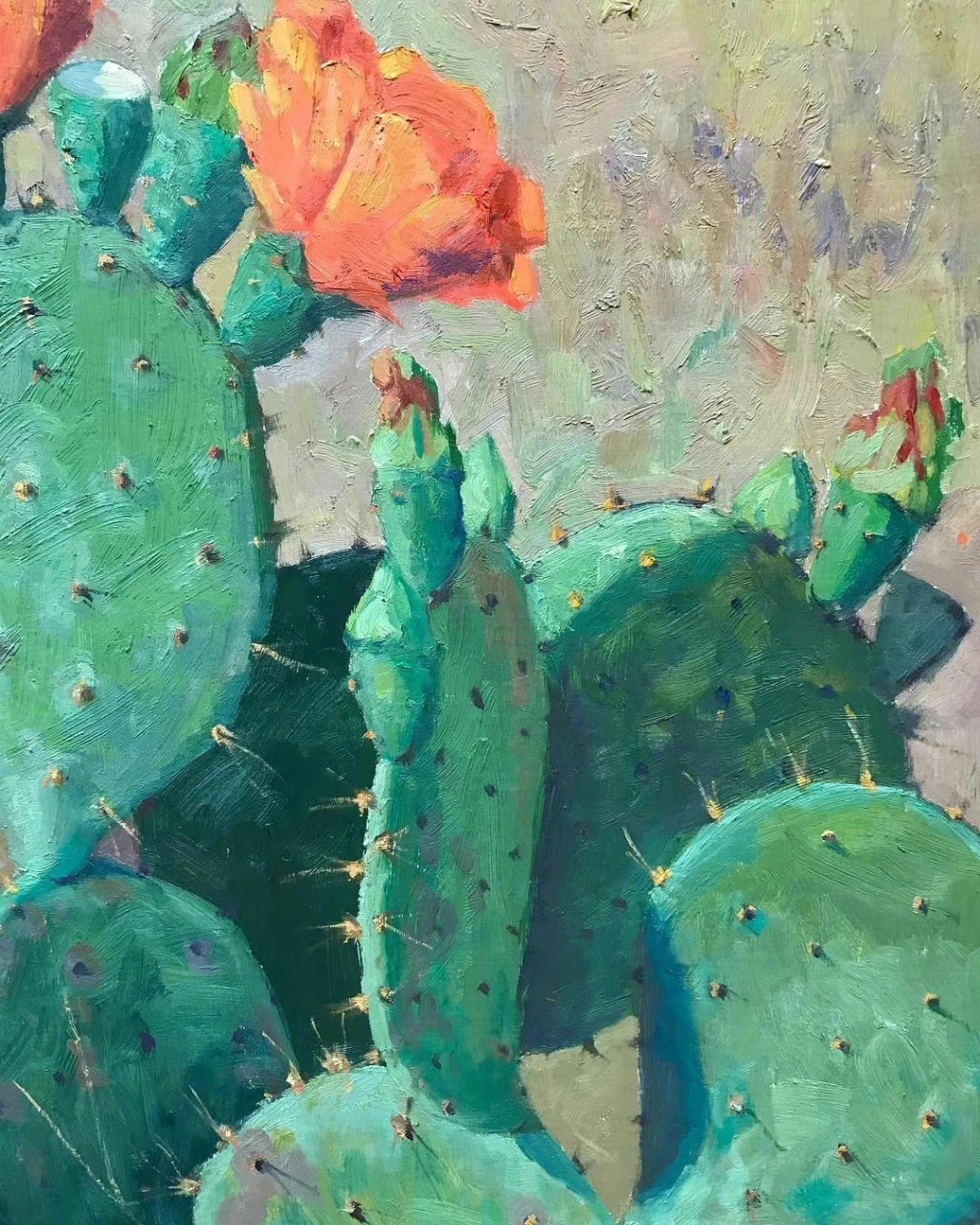 noe perez 画的仙人掌