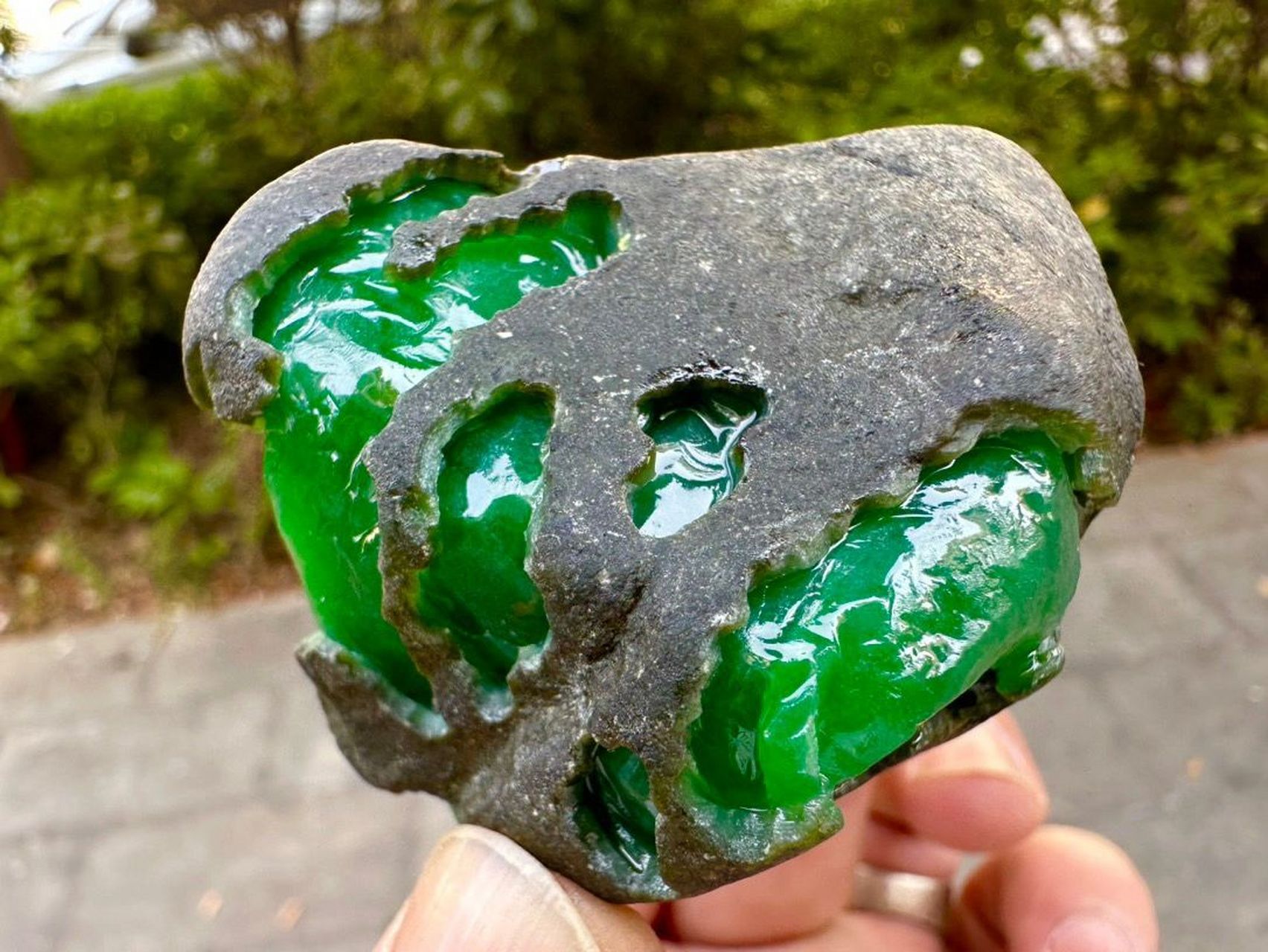 翡翠原石# #点击头像看直播# 120克精品老坑莫湾基超大面积开窗冰阳绿