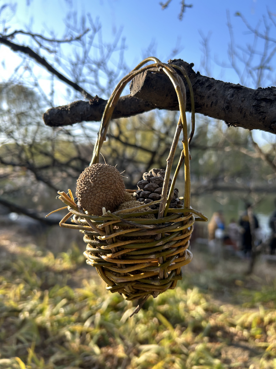 柳条编织花篮一个