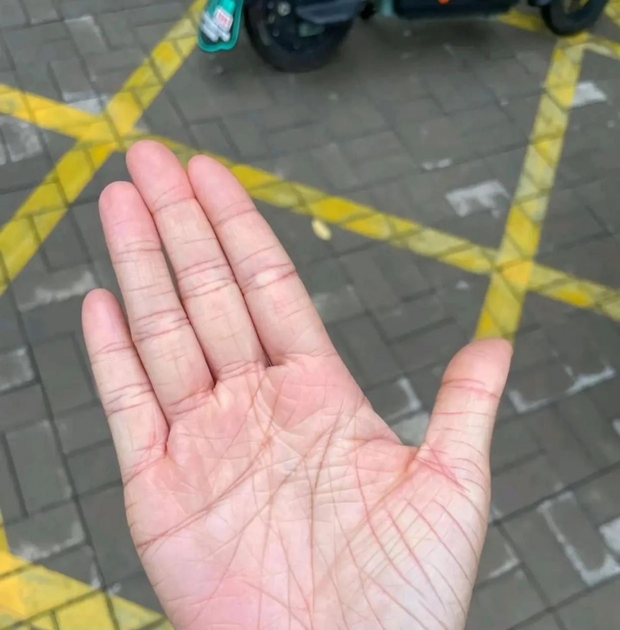 手掌纹路多且杂乱是为什么手相为什么在线 手掌纹路多且杂乱是为什么手相为什么在线