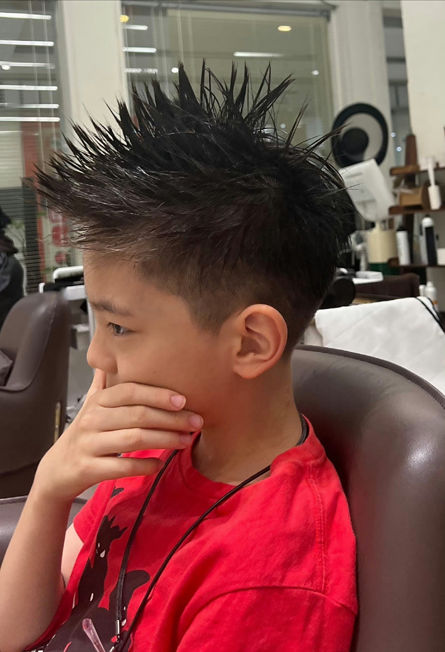 杜江的儿子嗯哼晒出了一张阳光帅气的新发型照片,引起了众多粉丝的