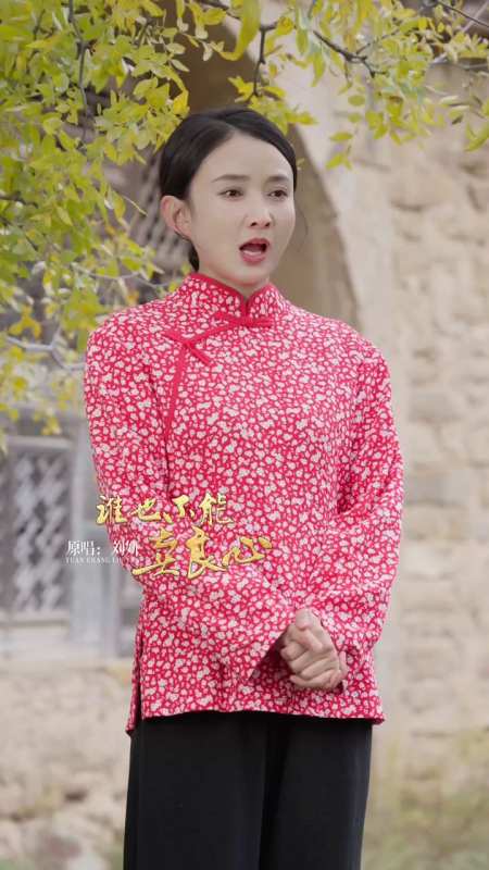 刘妍陕北民歌《谁也不能卖良心》-度小视