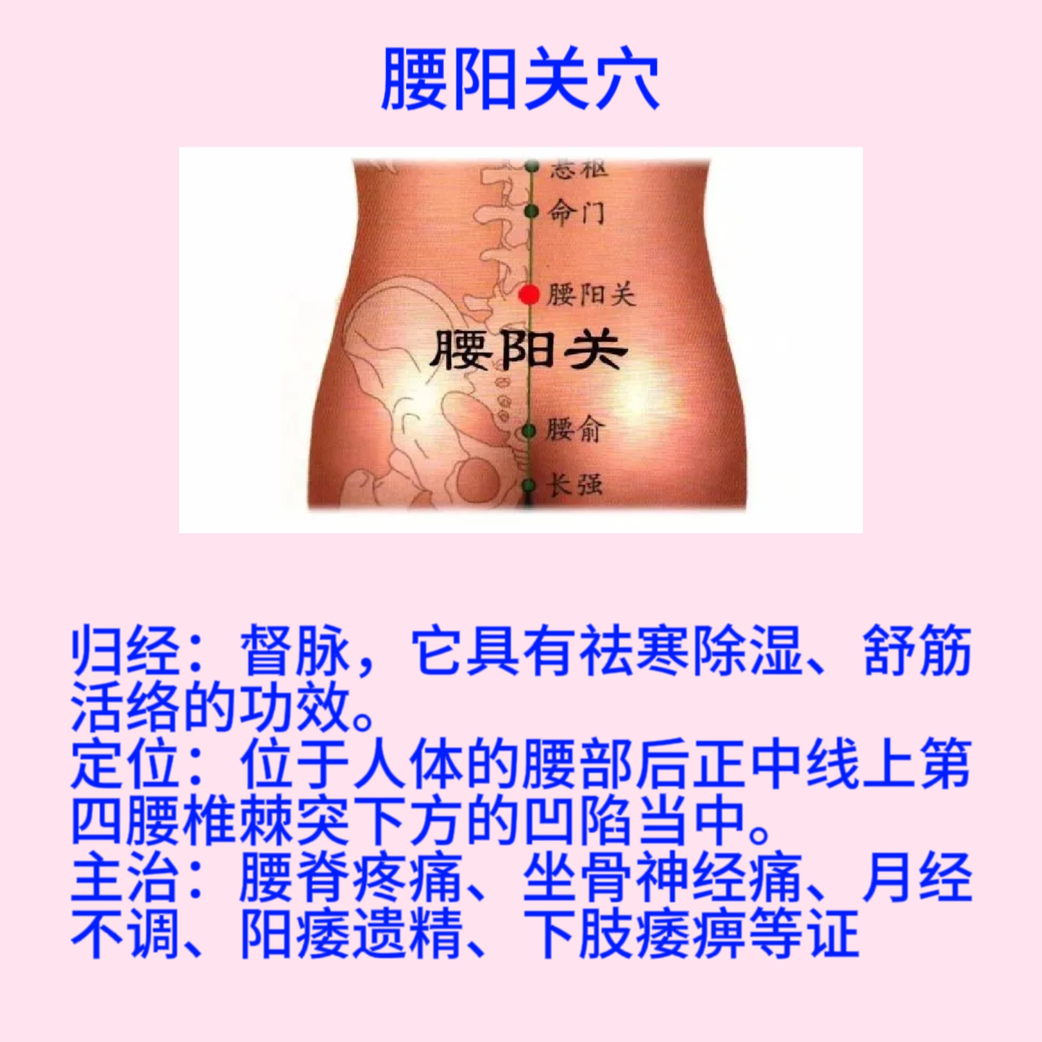 腰阳关穴的定位及归经,主治