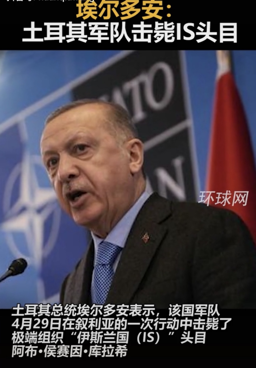 埃尔多安:土耳其军队击毙is头目