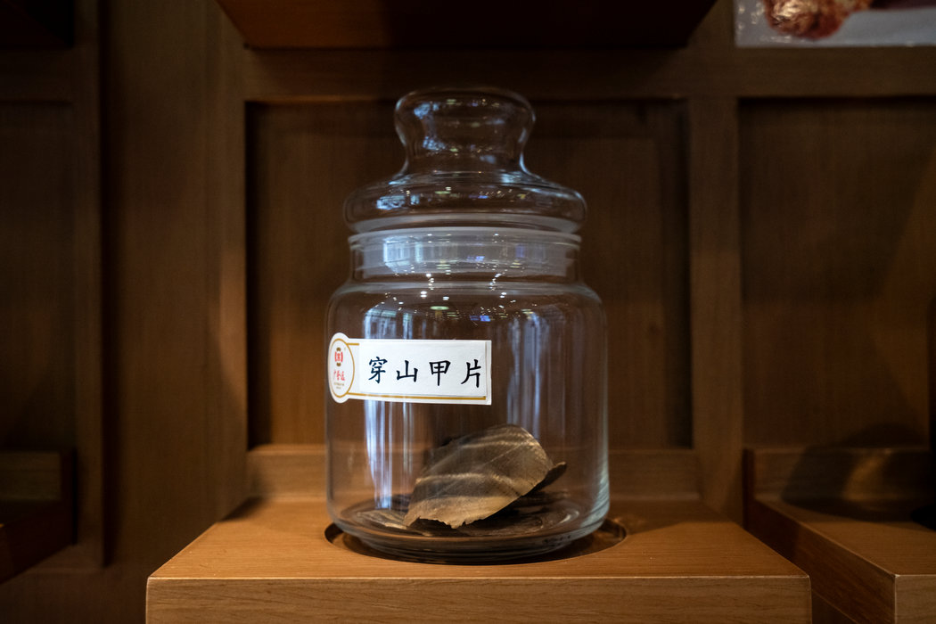 北京一家中药店出售的穿山甲片。