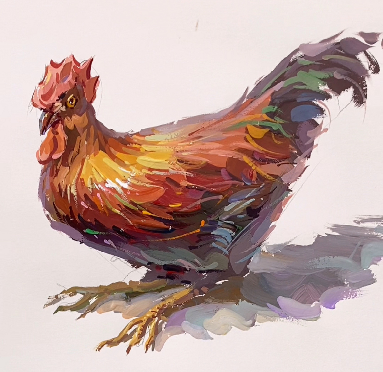 水粉画(大公鸡)详细作画步骤分享,美术生看过来!