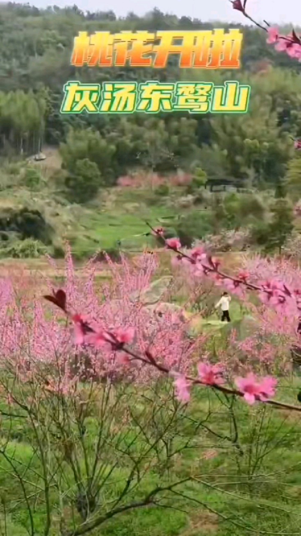 灰汤东鹜山图片