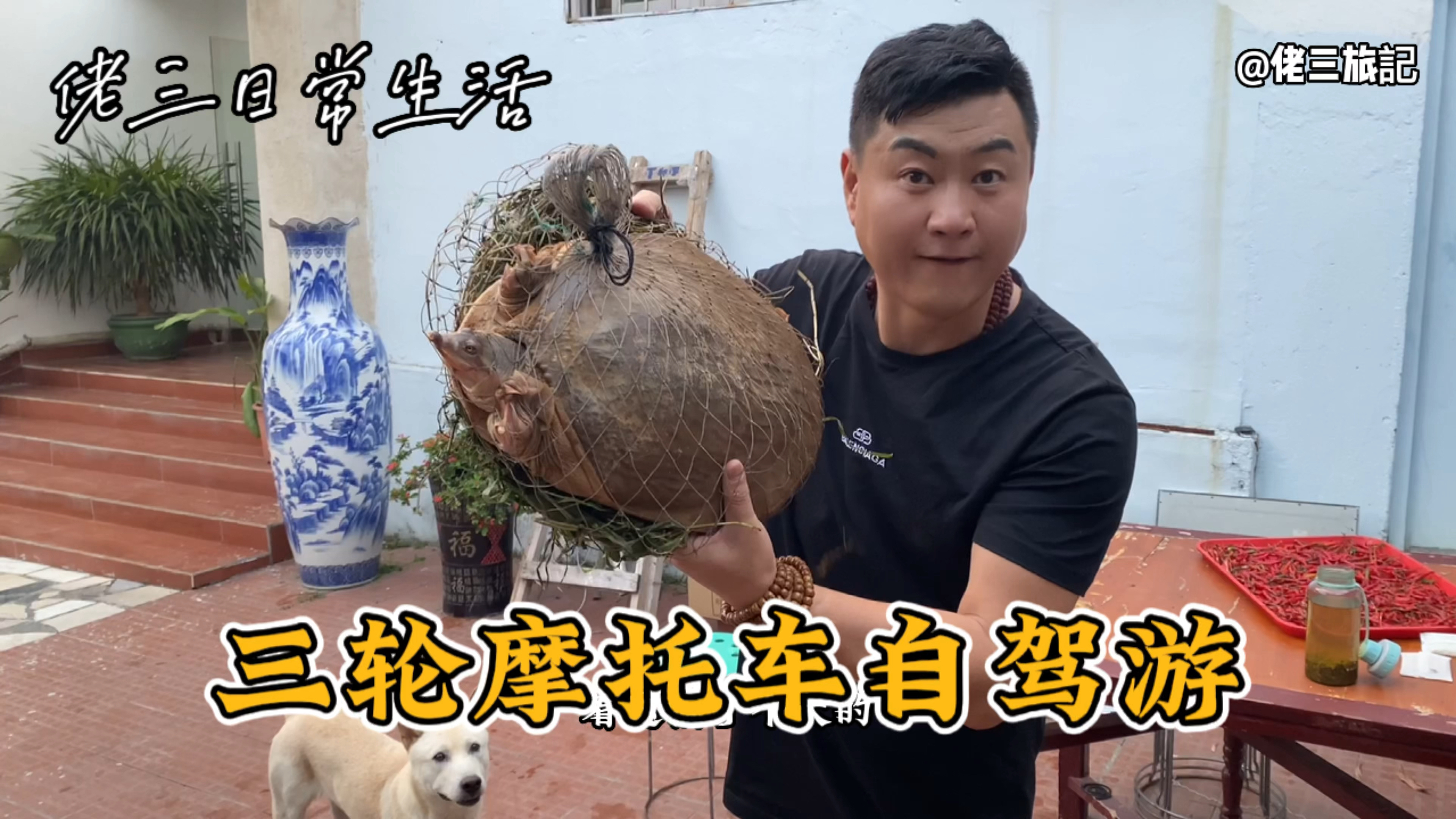 头一回见到这么大的水鱼,不知道这个东西怎么养,哪位大神知道?