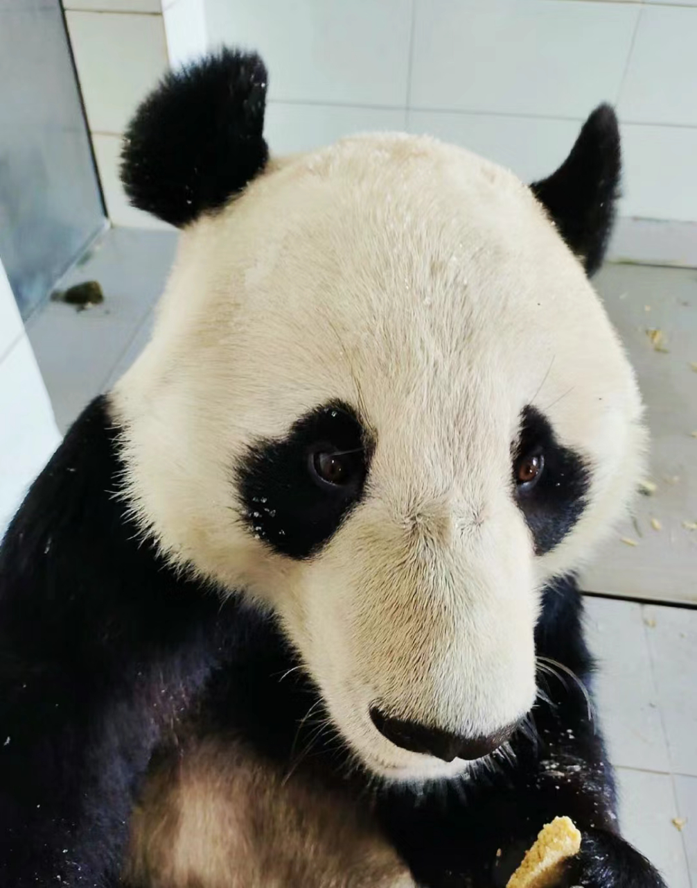 我有急事,车座子能借我一下吗?