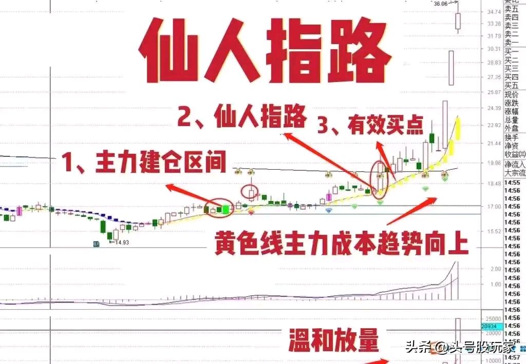 仙人指路主升浪