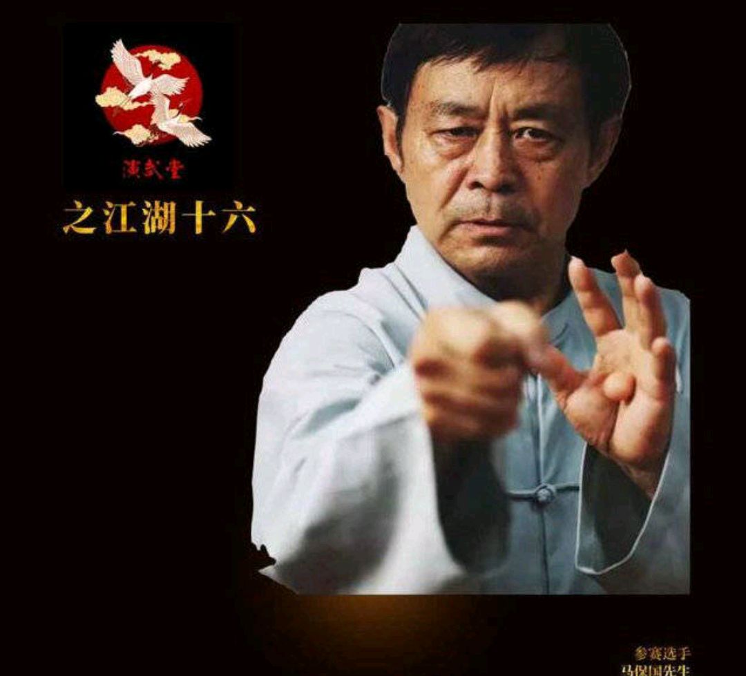 高学历武术人才-马保国老先生