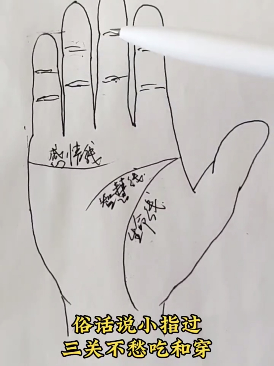 参考无名指第一关节的高度,可以判断这个小指的长度是偏长还是偏短.