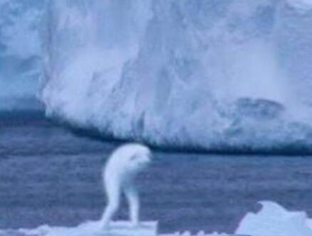 5个被拍到的巨人,在飞机上拍到巨人的图片