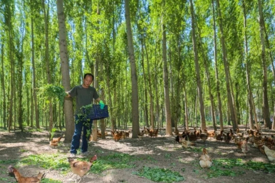 在農村曾經風魔一時的,