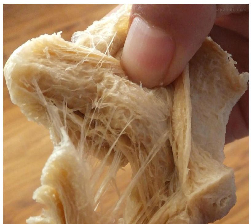 大豆拉丝蛋白素肉设备