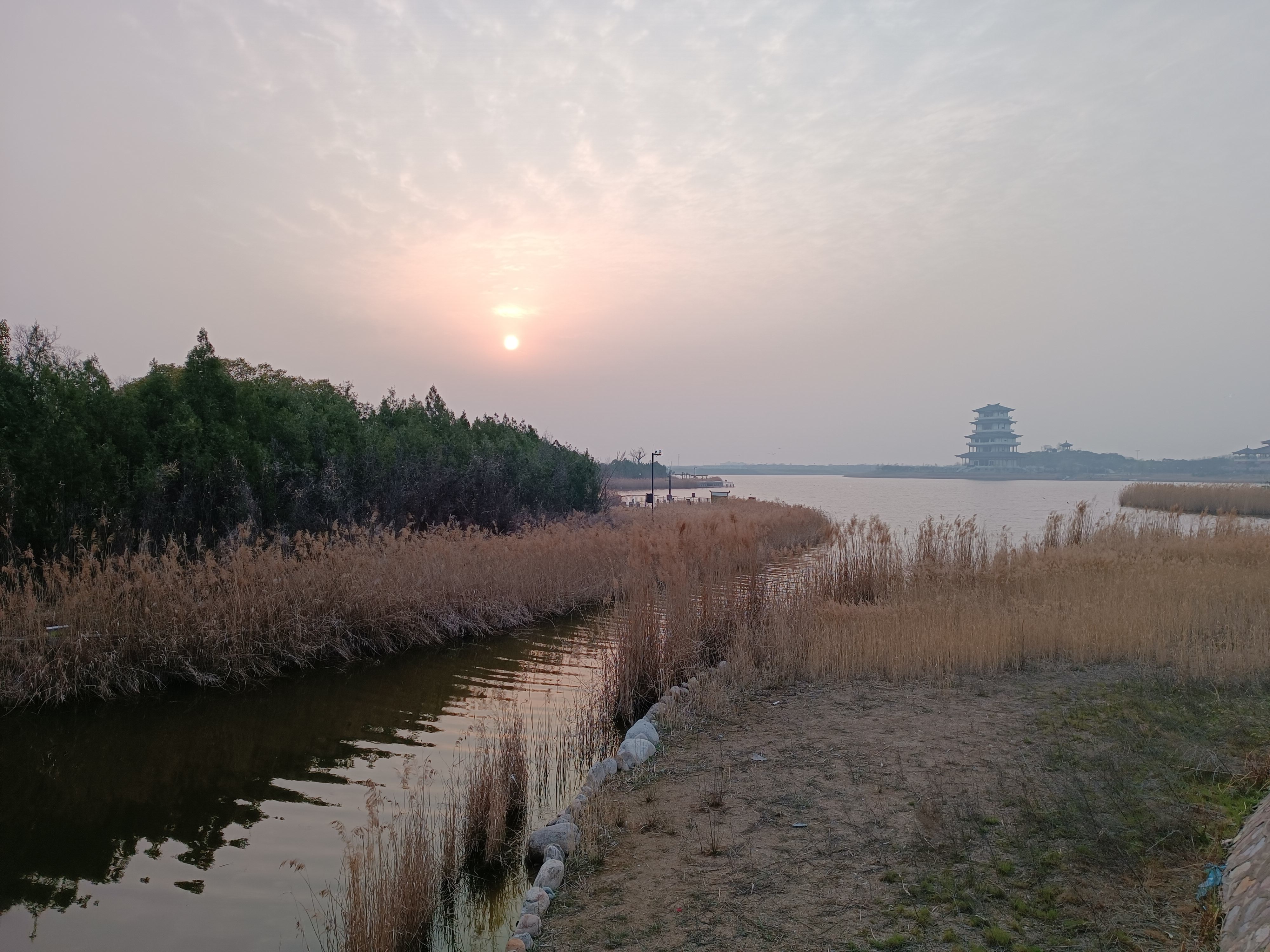 卤阳湖畔的春