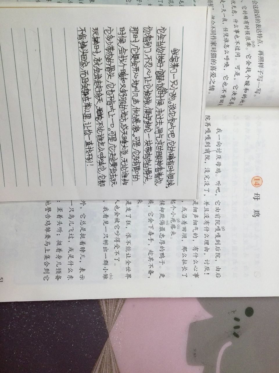 四年级下册,第13课《猫》课后小练笔仿写